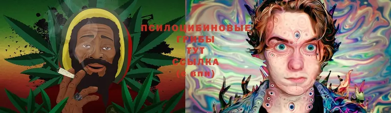 ОМГ ОМГ   Челябинск  Псилоцибиновые грибы Cubensis 